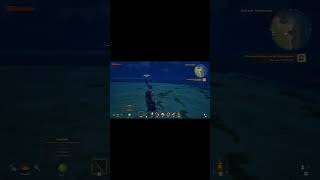 Der Mond sieht stark aus  #windrose #short #gaming  #gameplay #openworld #piraten #deutschegamer