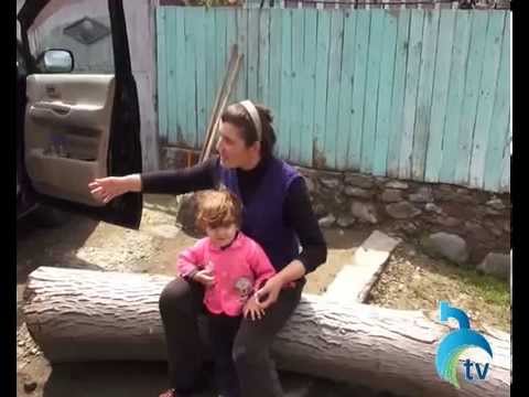 რას მოჰყვა ფიზიკური დაპირისპირება სოფელ ჭობისხევში