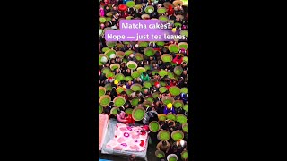 Early spring tea market bustles in SW China