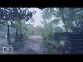 Asmr to make you fall asleep fast  monsoon footage india  our rain walks compilation