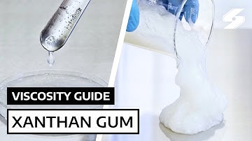 Xanthan Gum Solution Viscosity Comparison – 0.25% to 6%