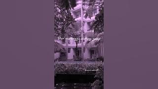 Berhenti Berharap (Sheila On 7) story WA