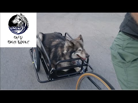 S/V Sea Wolf Episode-6 Pompano Beach to Marathon