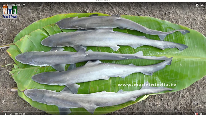 How to Cook Sora Fish Curry  | Popular Recipe in S...
