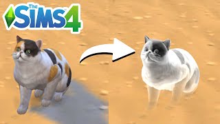 How To Turn Cat Into Ghost (Cheat) - The Sims 4
