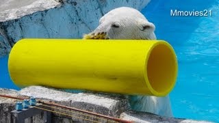 ガス管ギリギリ