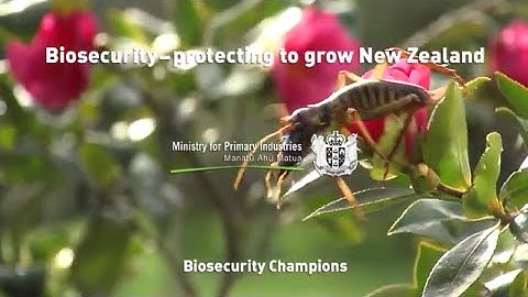 Biosecurity – protecting to grow New Zealand