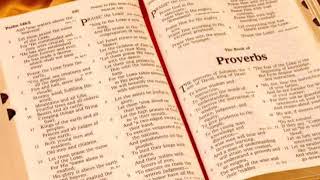 Garden The Holy Bible - Proverbs Chapter 12 ESV Plant