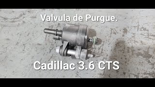 Purge Valve, Part 12690512, Cadillac 3.6 CTS. Valvula de Purgue.