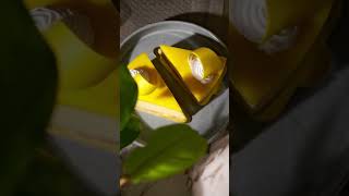 Aam season never tasted this good!