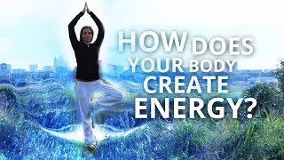 How Does Your Body Create Energy? \