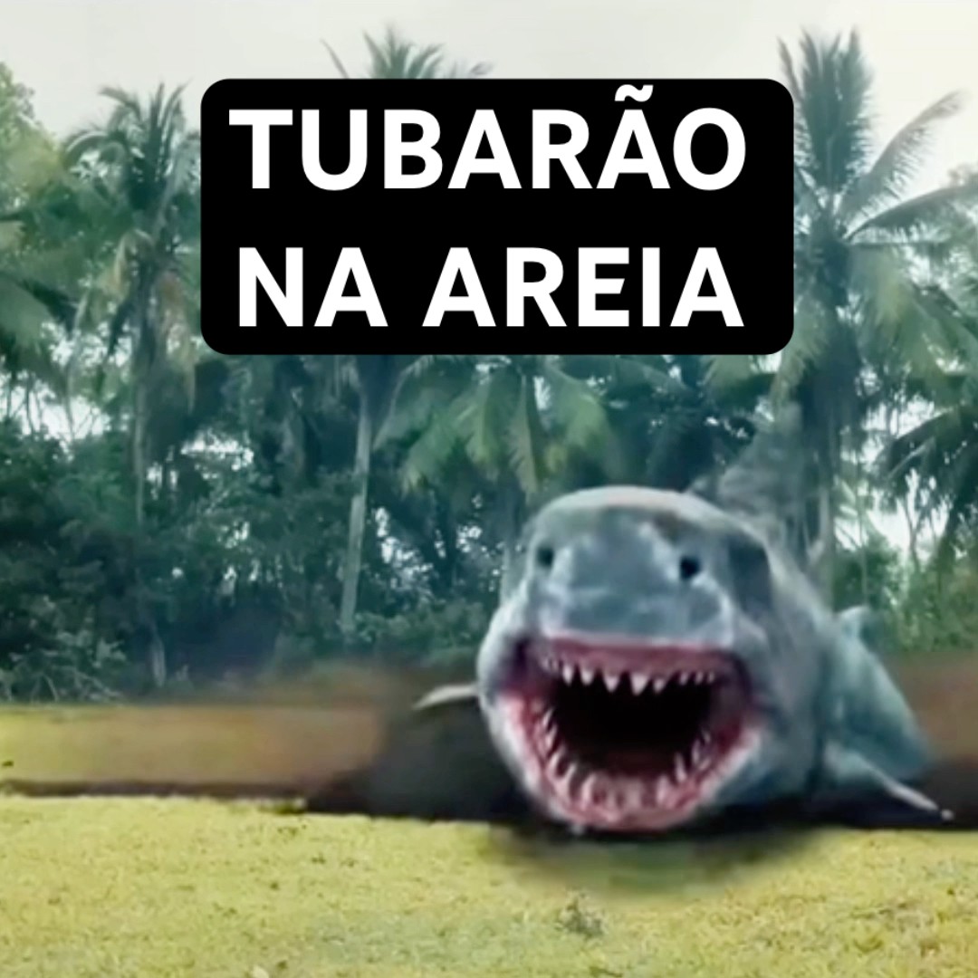 O TUBARÃO NA AREIA QUERIA PEGAR A MENINA #shorts