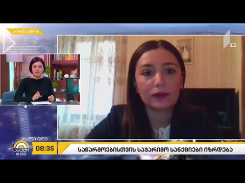 რუსთავში მოქმედი საწარმოებისთვის საჯარიმო სანქციები იზრდება