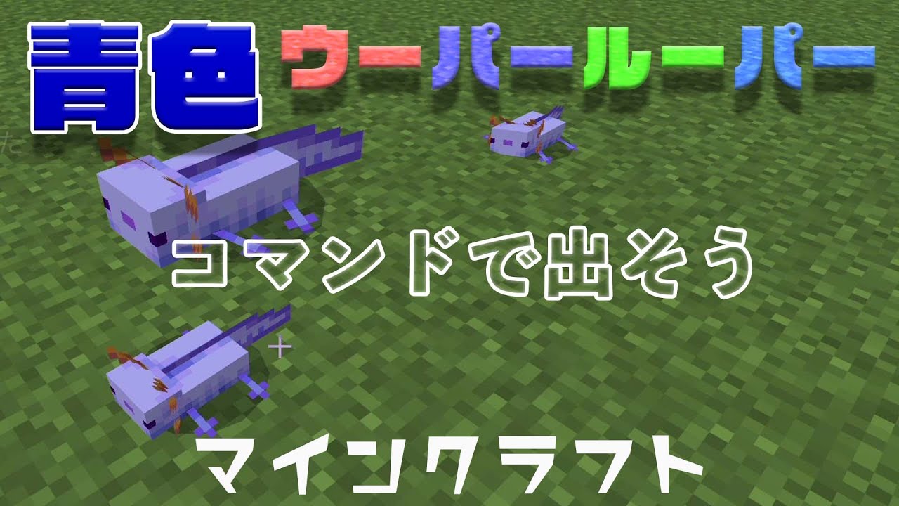 青色ウーパールーパーをコマンドで出そう！（マインクラフト） - YouTube