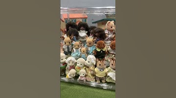 setting up my display cases! #calicocritters #sylvanianfamilies #cute #viral