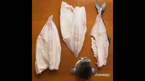 Fillet Cá Buri Nhật Bản ( Master Chef Foods)