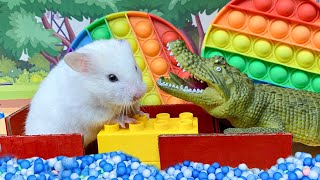 Hamster Escapes the Pop It Maze | Hamster Escape Prison | Hamster Pets World by MR HAMSTER 2,950 views 6 months ago 21 minutes
