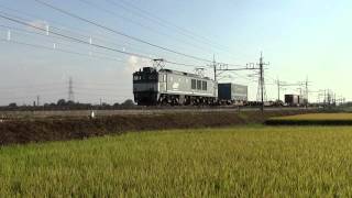 東北本線 5593レ EF64-1049(広島更新)+コキ 東鷲宮-栗橋にて