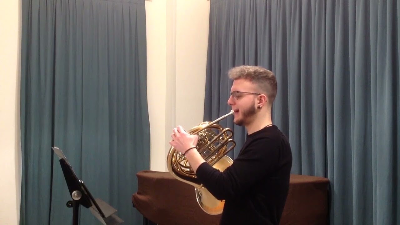 Strauss Ein Heldenleben 2nd Horn Excerpts