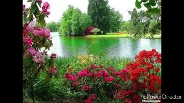 سورة محمد كاملة من صلاة التراويح للقارئ داود محداب - ولاية جيجل -