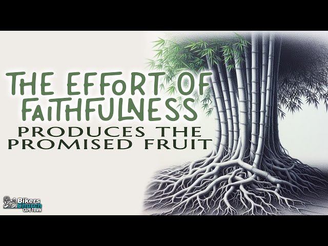 The effort of faithfulness produces the promised fruit - Pastor Kobus Massyn