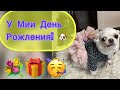 У Мии День Рождения /апрель3/EcoMia🥳🐶🌹