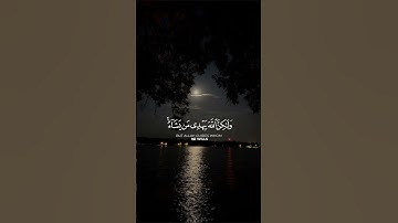﴿إِنَّكَ لَا تَهْدِي مَنْ أَحْبَبْتَ وَلَٰكِنَّ اللَّهَ﴾[ القصص: 56] القارئ: ياسر الدوسري