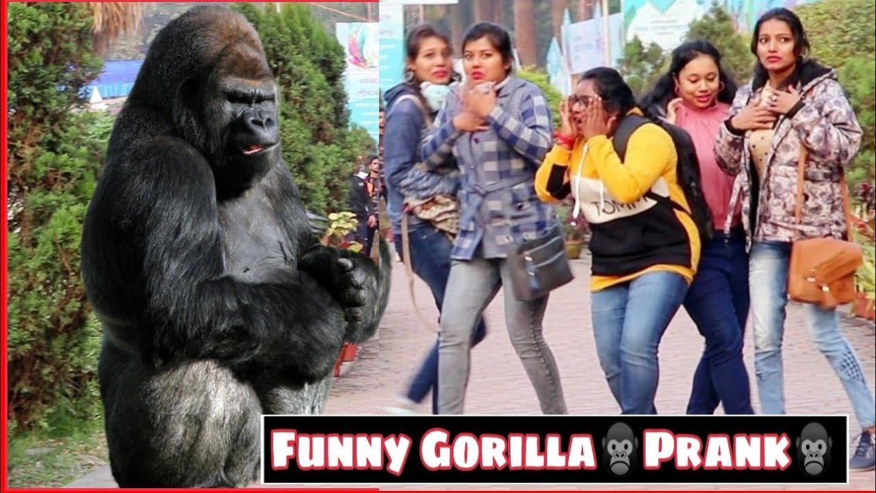 epic-gorilla-prank-on-cute-girls-epic-reactions-prank-in-kolkata