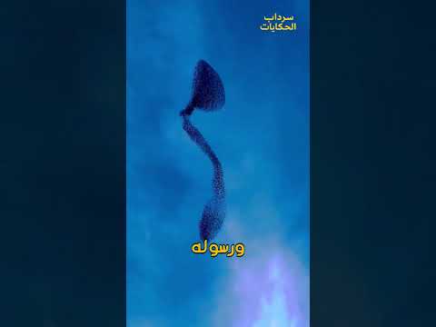 زرزور أوروبي في أسراب مورمر حماية جماعية