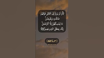 سورة الملك الآية ١٨ الى ٢١ بصوت الشيخ محمد صديق المنشاوي