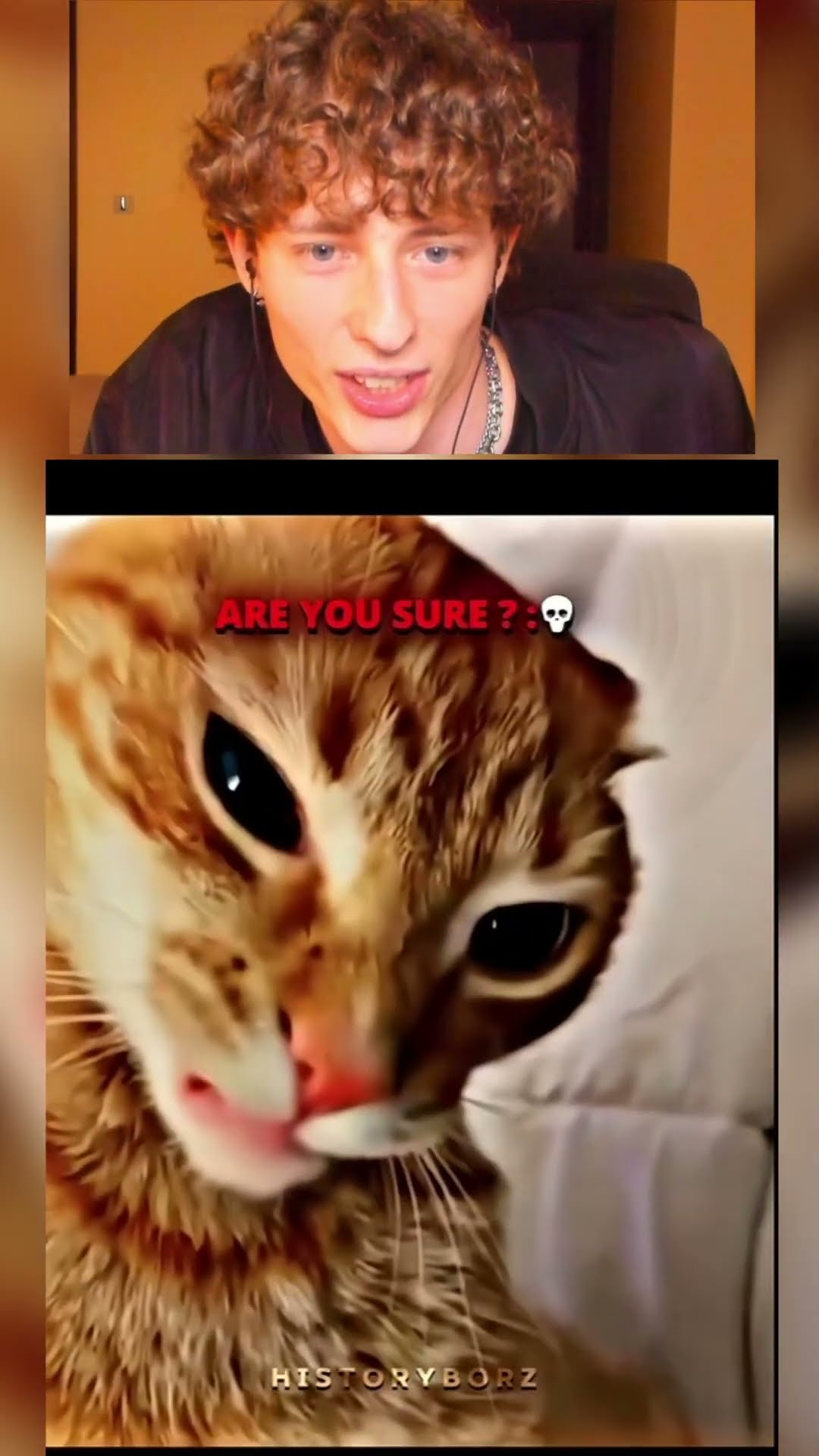 El gato MEWING?