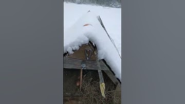 Cleaning the nesting boxes part 2