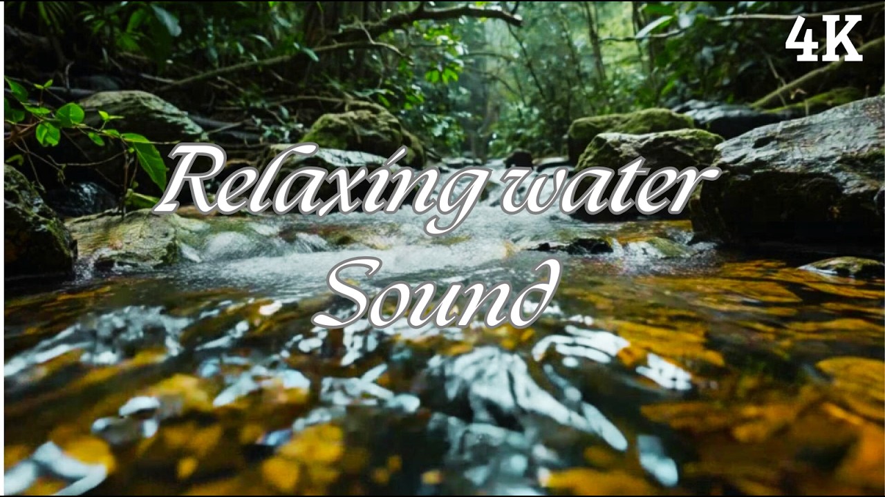Ultimate Relaxing Stream Sounds 🌿 Forest River Ambience for Sleep & Focus