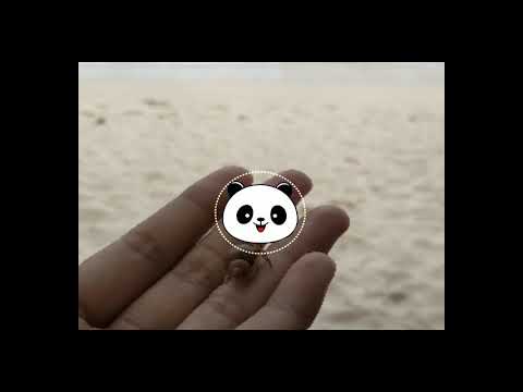 thumbnail img16x9