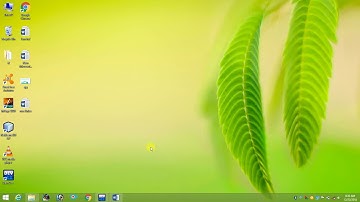 Write a C++ program to find all prime factors of a number