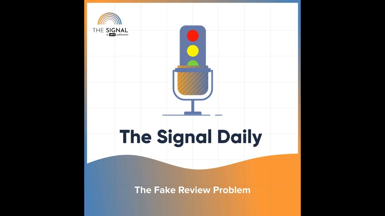 The Fake Review Problem