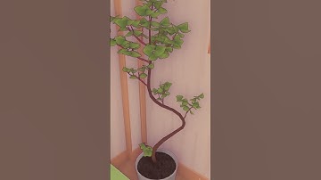 попал в непонятный мир MiSide  #dota2 #раст #rust #rustстрим