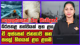🔴Live | කාලගුණයෙන් රතු නිවේදන, බරපතළ තත්වයක් අත ළග ඒ අස්සෙන් ජනතාව කන සහල් හිගයක් ළග ළගම