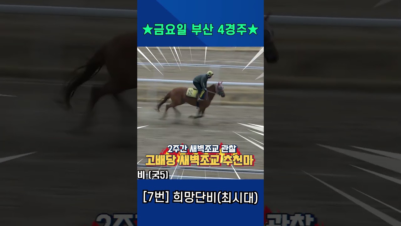 4월3일 금요일 부산 4경주!! 인기마 허점 파고들 강백호의 새벽조교 쏘스마!!