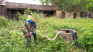 SHOCKED to clean up an old, dilapidated house with overgrown grass and potentially many dangers