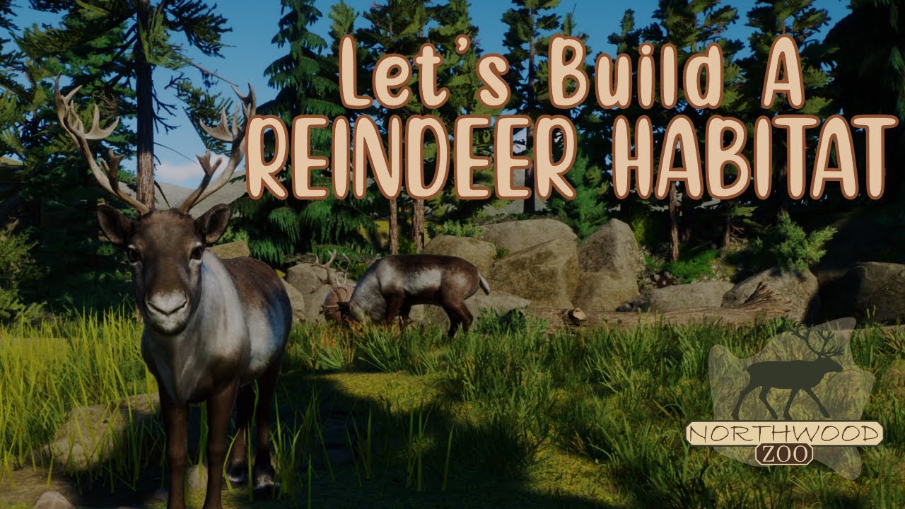 Let's Build A Reindeer Habitat! | Ep 4 of Northwood Zoo | Speed Build | No Commentary