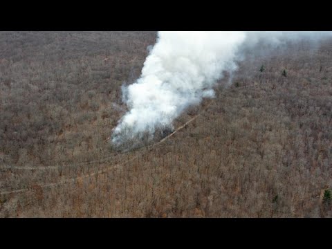 Crews called to brush fire in Lackawanna County - YouTube
