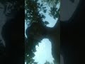 My first video start with CHALLENGE.