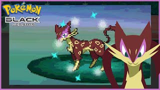 (LIVE) FULL ODDS Shiny Liepard #2 in Pokemon Black [Phase 14]