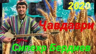 Сипехр Бердиев  - |Қади пастад ба мурам |2020