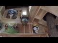THE TREEHOUSE MADE BY ANIMAL PLANET TREEHOUSE MASTERS AT FOR-MAR NATURE PRESERVE (CadenYurk Vlogs) THE TREEHOUSE MADE BY ANIMAL PLANET TREEHOUSE MASTERS AT FOR-MAR NATURE PRESERVE (CadenYurk Vlogs)