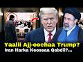 Yaalii Aj Eechaa Trump Iran Harka Keessaa Qabdii 