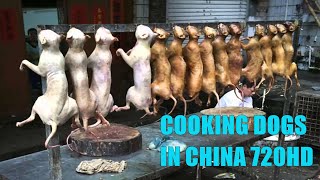 HOW DOGS COOK IN CHINA VIDEO # 2 (HD 2020)
