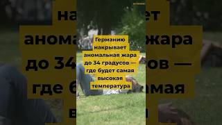 Германию накрывает аномальная жара до 34 градусов — где будет самая высокая температура