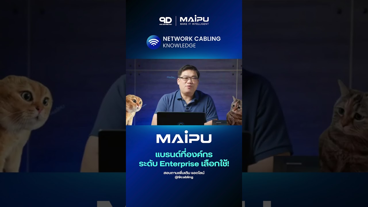 MAIPU แบรนด์ที่องค์กรระดับ Enterprise เลือกใช้! 💯#9D #maipu #network #cabling #enterprisesolutions